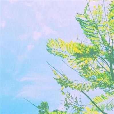 火柴人绝地逃亡内购破解版下载